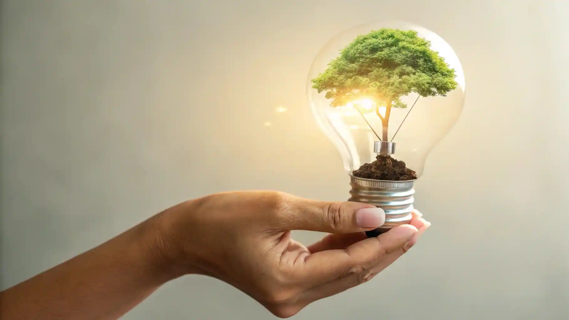 Un emprendedor imbatible fusiona la innovación y la sostenibilidad para crear un negocio rentable, simbolizado por un árbol creciendo dentro de un foco de luz.